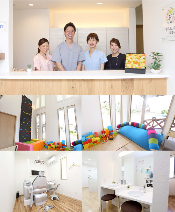 基本情報