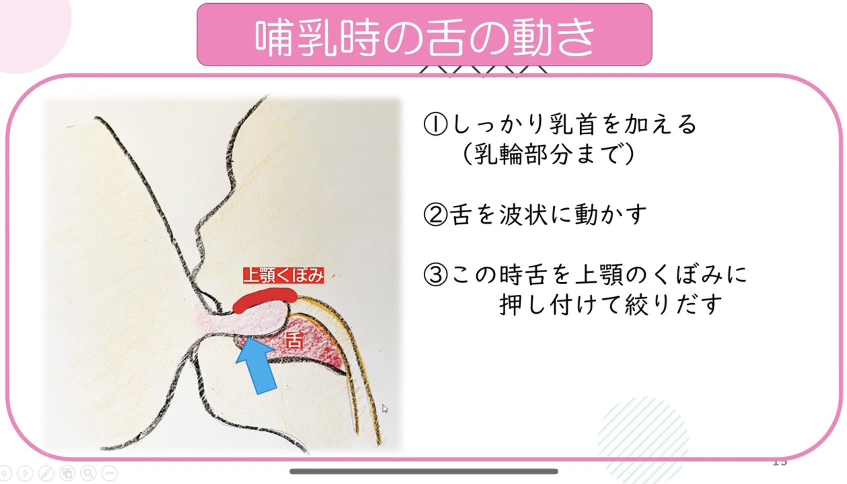 哺乳時舌の動き